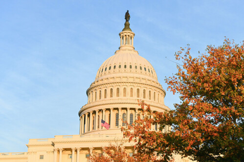 Cotton Applauds H-2B Visa Hold