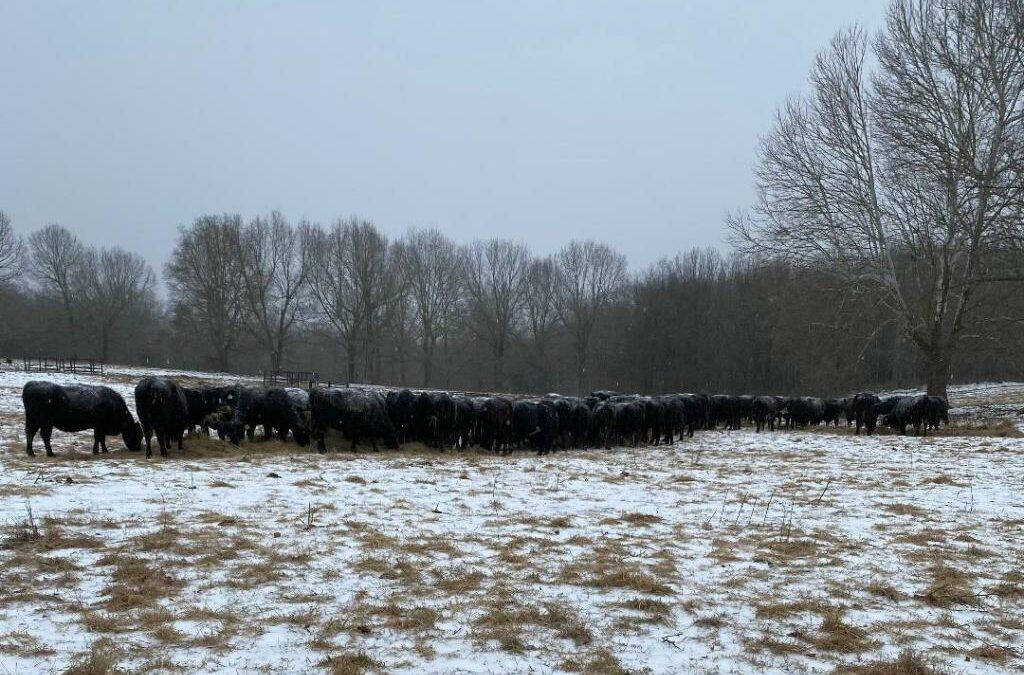 Young Agricultural Workers Face Challenges That Drive Many Out of Arkansas