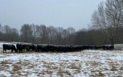 Young Agricultural Workers Face Challenges That Drive Many Out of Arkansas