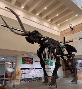 A-State Museum more than just a museum